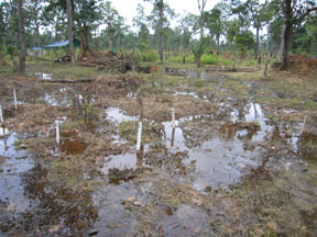 standing water in minefield